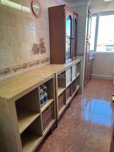 Foto f7c753f8-a496-4a83-95d8-11f3c41ea321. Pis a Parque Ayala - Jardín de la Abadía - Huelín Málaga