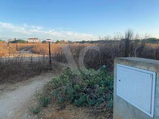 Residential Plot in Roche