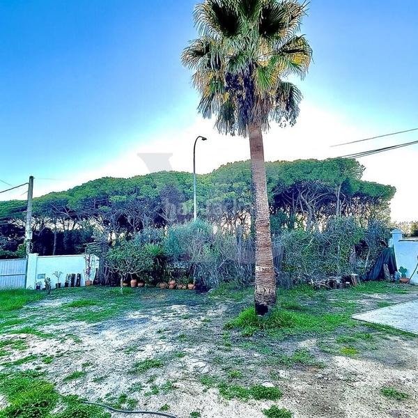 Foto 4f696dba-4d45-41a2-b21b-65291b348ef2. Chalet en Pelagatos - Pago del Humo Chiclana de la Frontera