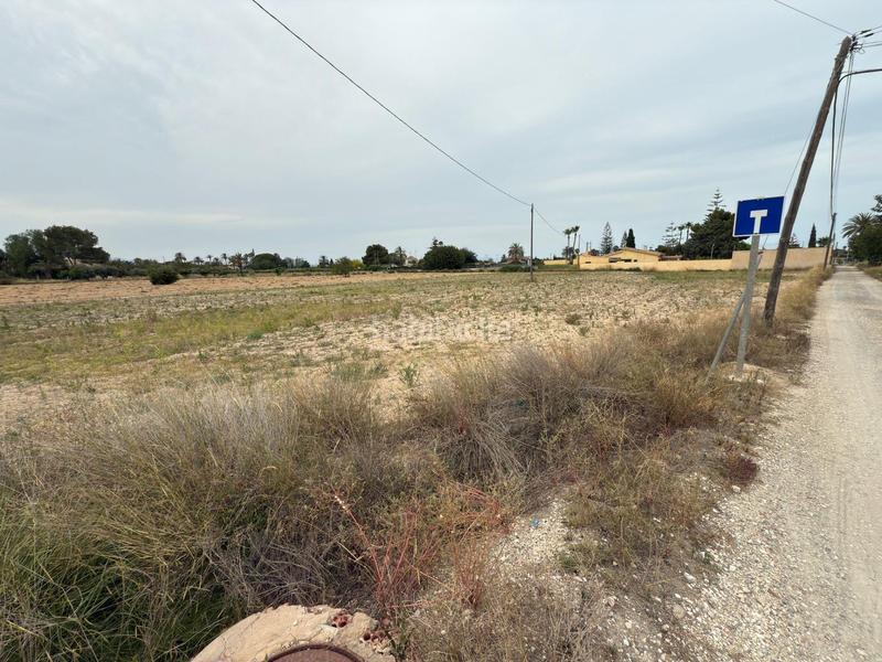 Foto 30e2819b-67c0-443d-96c0-d52ef606987e. Landgut in Las Bayas Elche / Elx