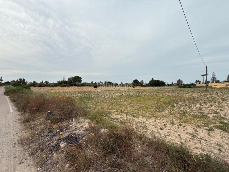 Foto aff9b890-738f-43da-ad30-215a11591bad. Landgut in Las Bayas Elche / Elx