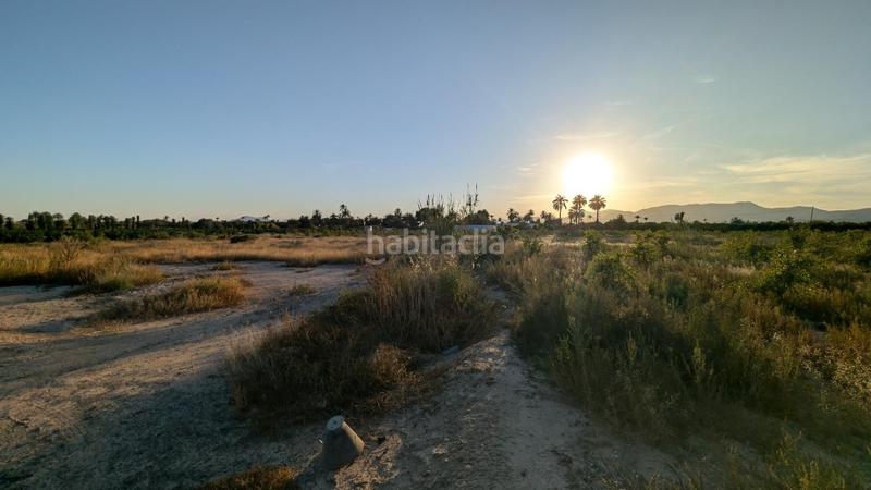 Foto 02ed38e5-06a9-4d11-a943-193b2904cc64. Rural plot in La Algoda - Matola - Llano de San José Elche / Elx