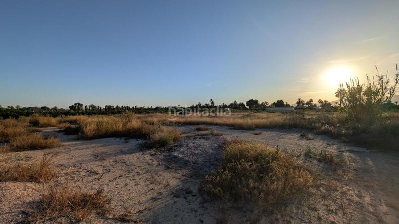 Foto 29f6ed69-889a-4073-980f-e396d47b900b. Rural plot in La Algoda - Matola - Llano de San José Elche / Elx