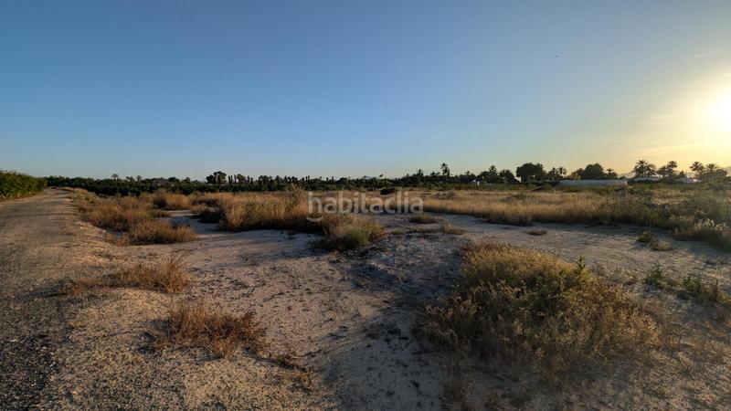Foto 4375204d-fa41-40b4-a438-917897b7e22e. Rural plot in La Algoda - Matola - Llano de San José Elche / Elx