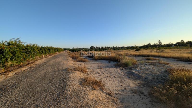Foto 550143dc-78b5-4c2a-a591-892fb74a1ed7. Rural plot in La Algoda - Matola - Llano de San José Elche / Elx