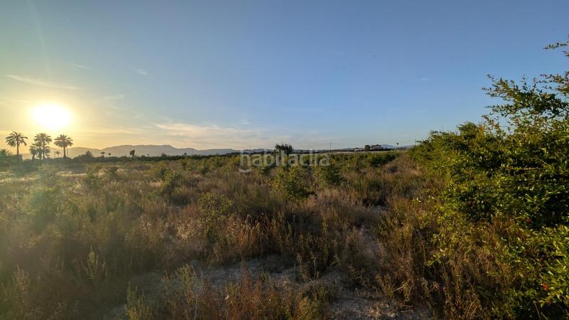 Foto 9dce24f1-41e5-43f3-8431-f63ad900d4e6. Rural plot in La Algoda - Matola - Llano de San José Elche / Elx