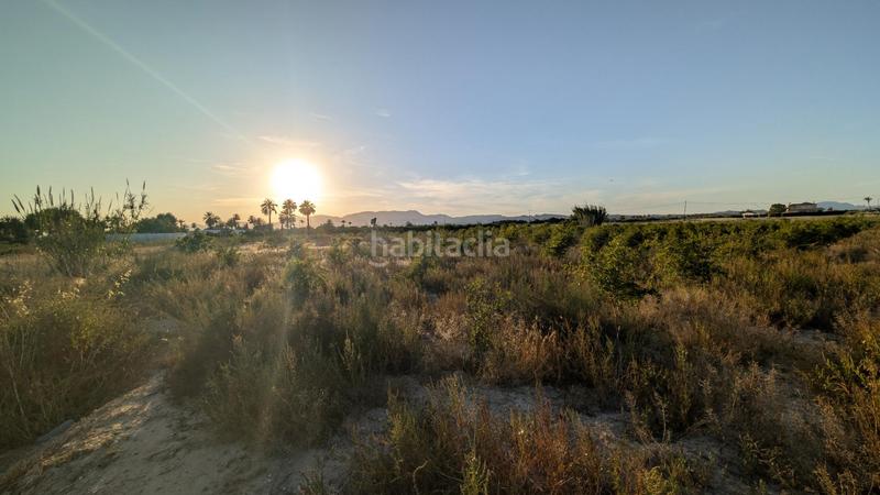 Foto c89a1dc2-8237-43f5-bb9e-7206a034f564. Rural plot in La Algoda - Matola - Llano de San José Elche / Elx