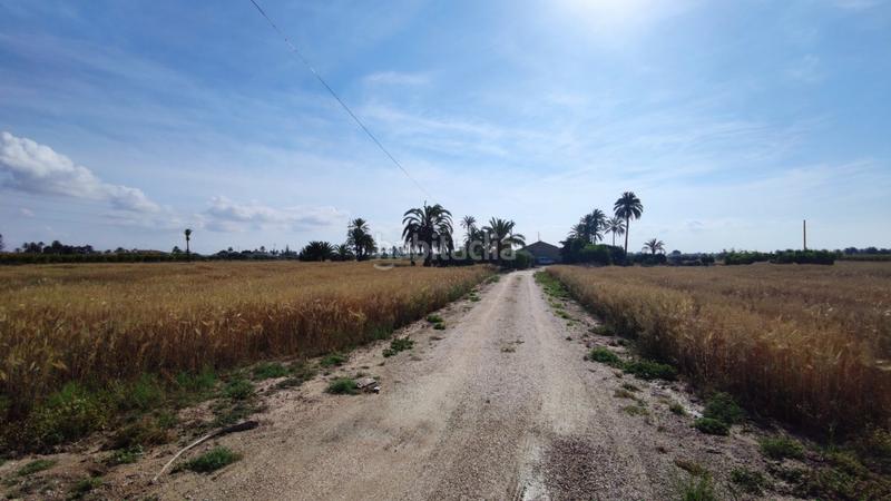 Foto 0fd1a0b5-9c1d-483c-ac82-93b1d08e2895. Xalet a La Foia - Daimés - Asprella Elche / Elx