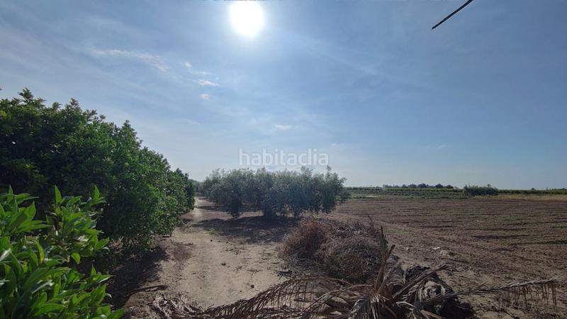 Foto 21c5f455-90a2-4d81-8991-d2c3951abefa. Xalet a La Foia - Daimés - Asprella Elche / Elx