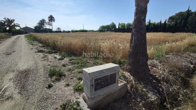 Foto 223e769a-0240-4eac-9393-66aa5b08af13. Xalet a La Foia - Daimés - Asprella Elche / Elx