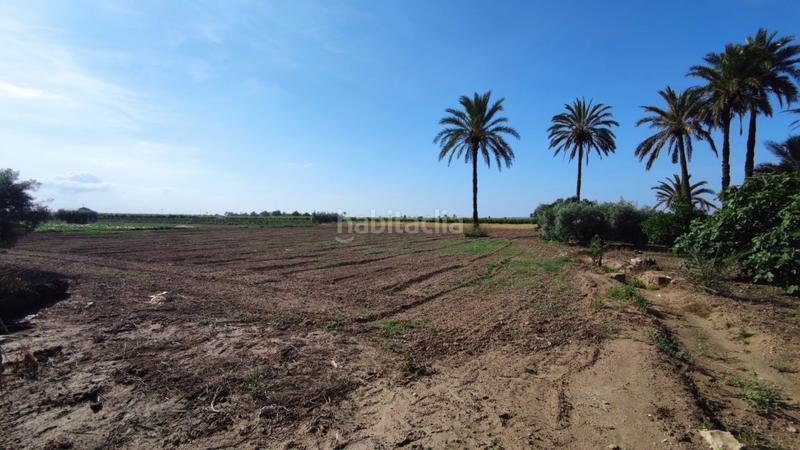 Foto 39fb80bd-1f24-40ba-ab5f-b3ebec73216b. Xalet a La Foia - Daimés - Asprella Elche / Elx