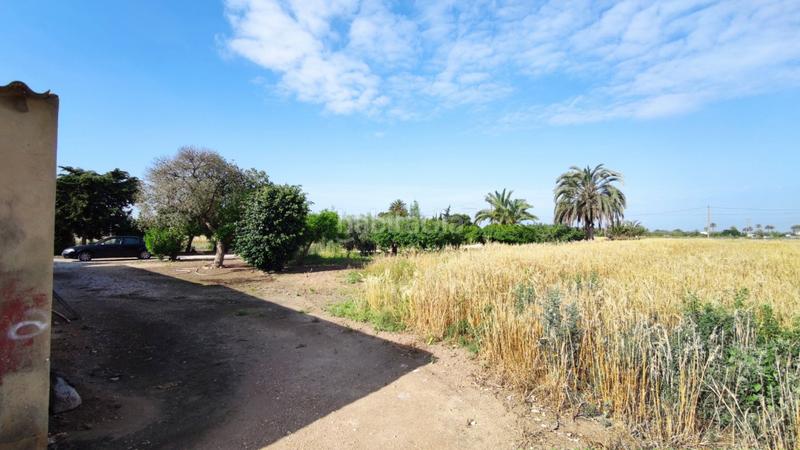 Foto 3ce5fa13-805c-44ec-8b04-1ad07d16d9a2. Xalet a La Foia - Daimés - Asprella Elche / Elx