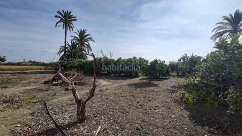 Foto 3dd95547-f4a4-4504-bcf4-2ad5f8a838ae. Xalet a La Foia - Daimés - Asprella Elche / Elx