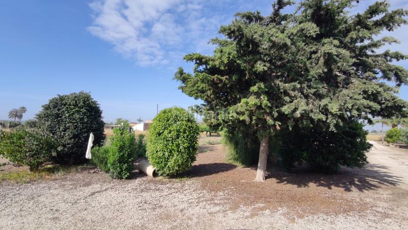 Foto 50c2967c-9678-4c04-96f3-51582f9cad20. Xalet a La Foia - Daimés - Asprella Elche / Elx