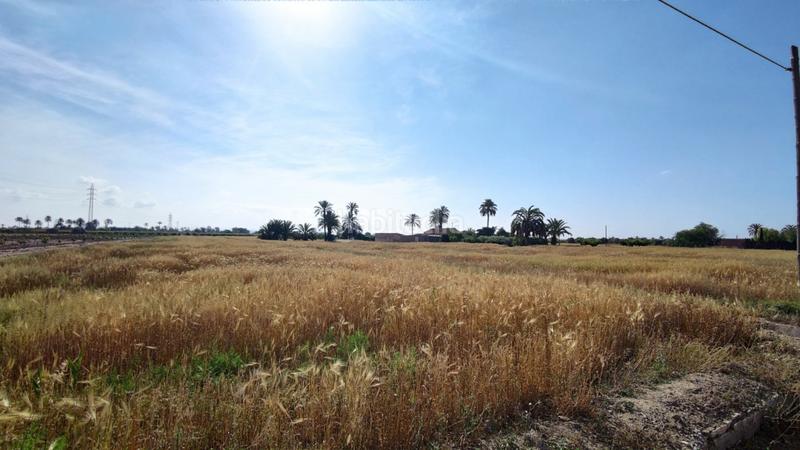 Foto 560a4c65-3283-4d01-ab3e-3bbedf91703b. Xalet a La Foia - Daimés - Asprella Elche / Elx