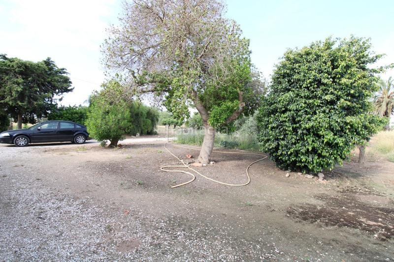 Foto 5dd52eff-3b5b-4f7a-b48e-31370e977e15. Xalet a La Foia - Daimés - Asprella Elche / Elx