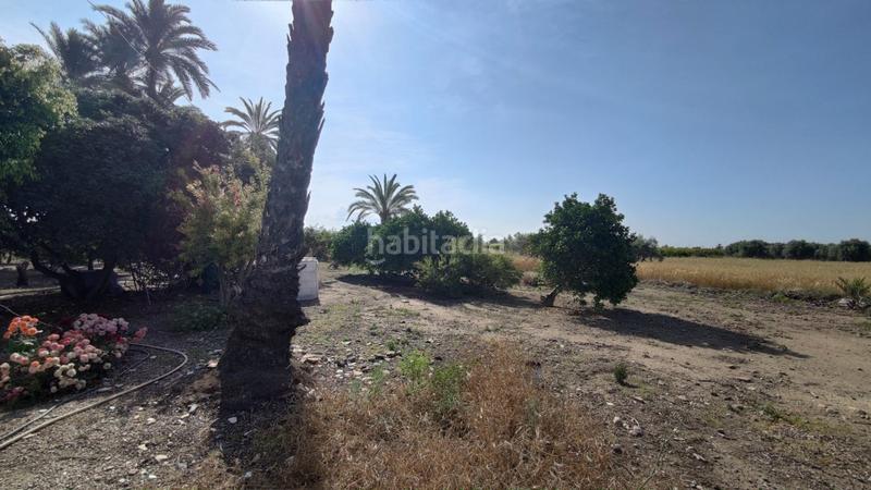 Foto 71befb18-4aa4-4a58-922a-6a43bd956a57. Xalet a La Foia - Daimés - Asprella Elche / Elx