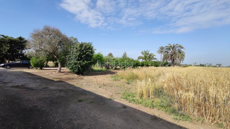 Foto 7d36a1b2-d70b-4842-b92a-c4a00ea3f5de. Xalet a La Foia - Daimés - Asprella Elche / Elx