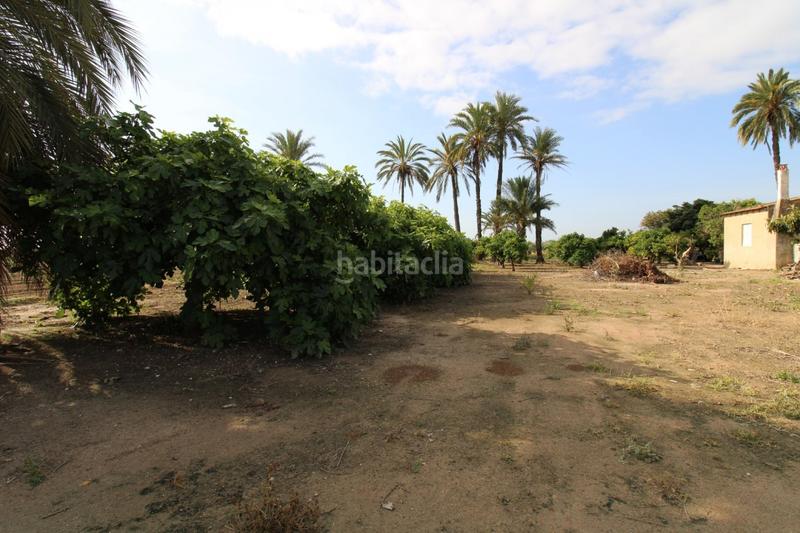 Foto 8a2b07a6-c8b2-4e14-987e-c12255ecdf99. Xalet a La Foia - Daimés - Asprella Elche / Elx