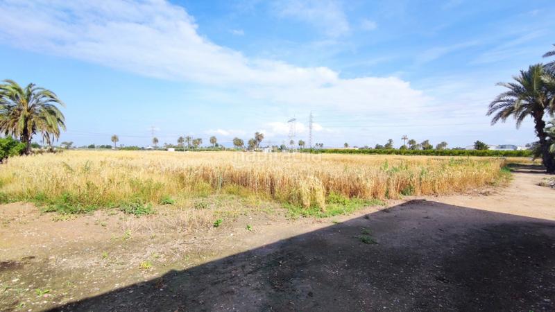 Foto a31e5a73-e301-4ef4-93d0-5b4198d8db63. Xalet a La Foia - Daimés - Asprella Elche / Elx