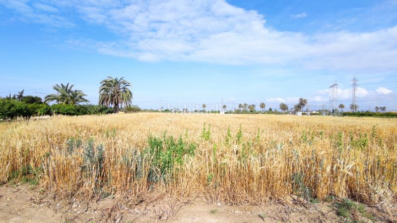 Foto a653c280-582c-46b2-bd83-a78a6ca93626. Xalet a La Foia - Daimés - Asprella Elche / Elx