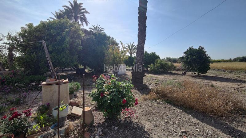 Foto a9829849-9447-4c80-8ff7-c009da5cbd2e. Xalet a La Foia - Daimés - Asprella Elche / Elx