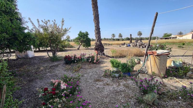 Foto b71c579a-c854-47d4-a649-2a7098095de2. Xalet a La Foia - Daimés - Asprella Elche / Elx