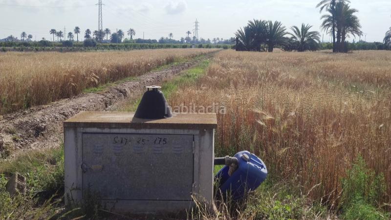Foto c4762a9f-d56f-4c19-85dd-d1a29d223329. Xalet a La Foia - Daimés - Asprella Elche / Elx