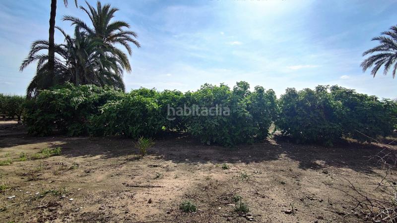 Foto c8f86e52-b6d7-4c27-9834-1315869cbc44. Xalet a La Foia - Daimés - Asprella Elche / Elx