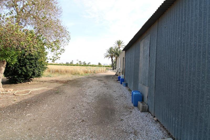 Foto e8272ed5-7284-4b63-abd6-ed867a872852. Xalet a La Foia - Daimés - Asprella Elche / Elx