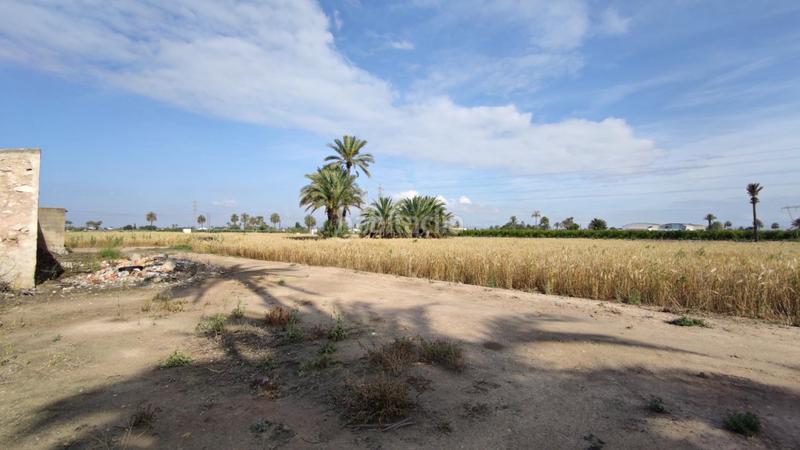 Foto ec6a2fc2-e253-47cf-85e1-5455bac833c6. Xalet a La Foia - Daimés - Asprella Elche / Elx