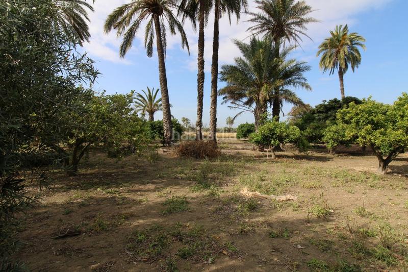 Foto f6e46d92-7038-4647-ba40-33485d8255b5. Xalet a La Foia - Daimés - Asprella Elche / Elx