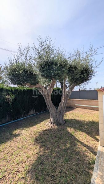 Foto e60db817-13a2-455a-bd18-73cd296d000d. Xalet amb aparcament piscina a Noroeste Santa Pola