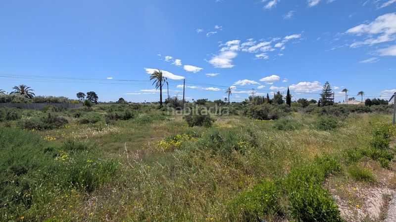 Foto 45f0bd24-2ec5-4030-8439-470337dbd2a9. Finca rústica a Centro Elche / Elx