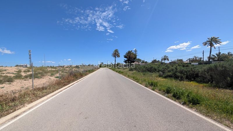 Foto 78c1803b-ded4-4887-93d6-5477036f56e7. Finca rústica a Centro Elche / Elx