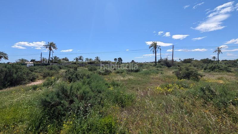 Foto 868c17d7-3798-41c6-b950-c68cb8e81bf2. Finca rústica a Centro Elche / Elx