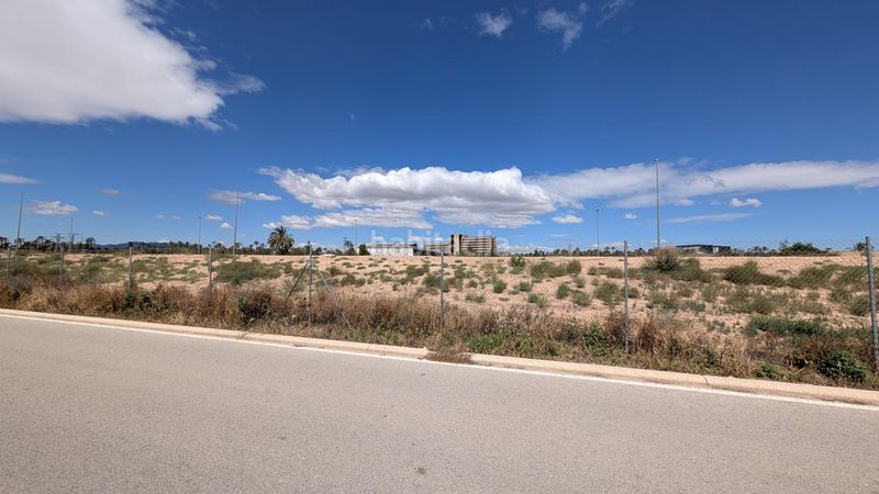 Foto d9b99ade-d8b5-418d-9011-7b11d17dd922. Finca rústica a Centro Elche / Elx