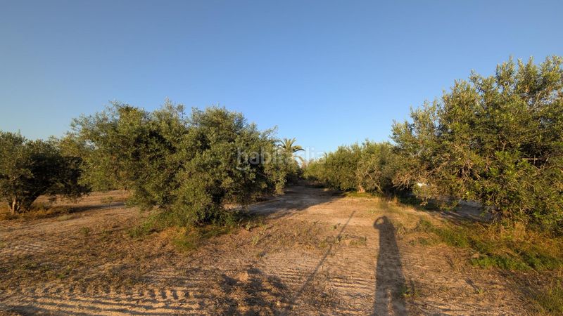 Foto 4a457c0b-38b9-4094-a4ee-22ef5b0534aa. Finca rústica a Algorós - El Derramador Elche / Elx
