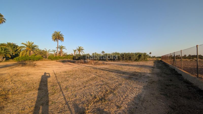 Foto 5bbe8a5f-876d-4ba5-b458-4d27b08761d9. Finca rústica a Algorós - El Derramador Elche / Elx
