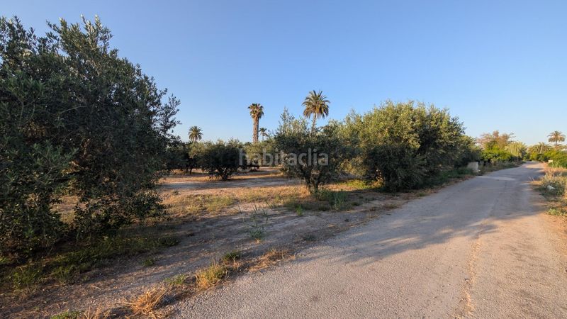 Foto aeab97bb-fc0f-4972-974d-4066e2e57881. Finca rústica a Algorós - El Derramador Elche / Elx