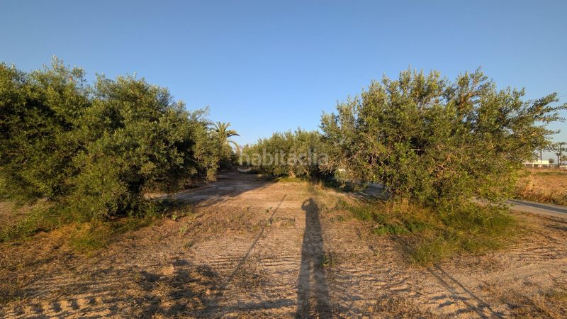 Foto d337abd2-eb99-4ad3-862e-8e75bdef387a. Finca rústica a Algorós - El Derramador Elche / Elx