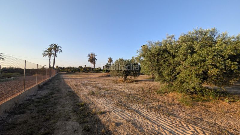Foto d9f8bb25-d12f-4a3a-a00e-0091e91d3855. Finca rústica a Algorós - El Derramador Elche / Elx