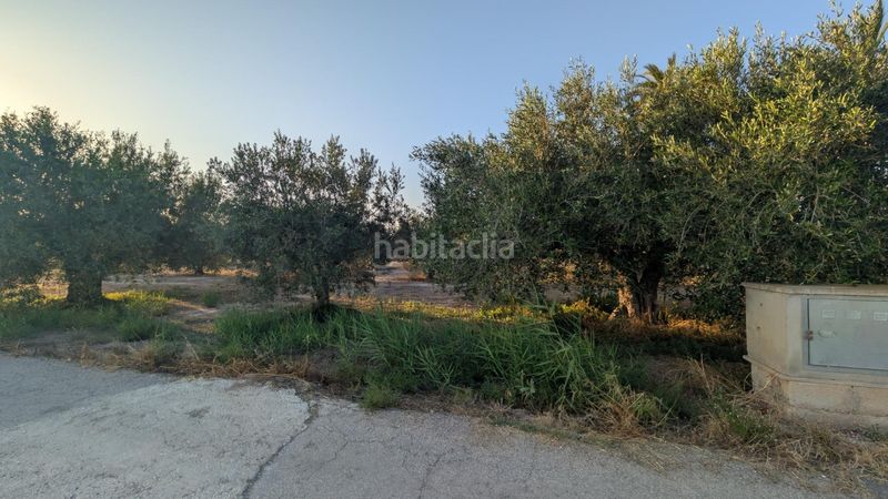 Foto f1daf0ed-0143-47a3-a244-141d29f338d6. Finca rústica a Algorós - El Derramador Elche / Elx