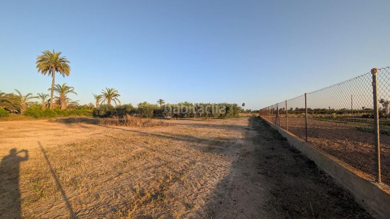 Foto f7166e2f-4eb2-4e39-aeb3-1cafab5751a6. Finca rústica a Algorós - El Derramador Elche / Elx