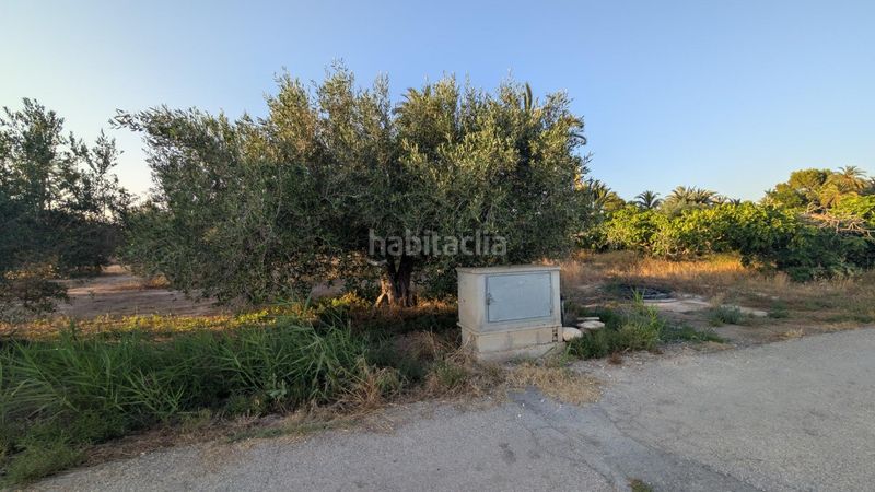 Foto f7778cb5-f21b-4274-ac66-dc6675d8f2ca. Finca rústica a Algorós - El Derramador Elche / Elx