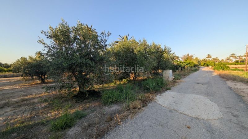 Foto faf6442d-90e7-434a-83e3-84bfef7f8060. Finca rústica a Algorós - El Derramador Elche / Elx