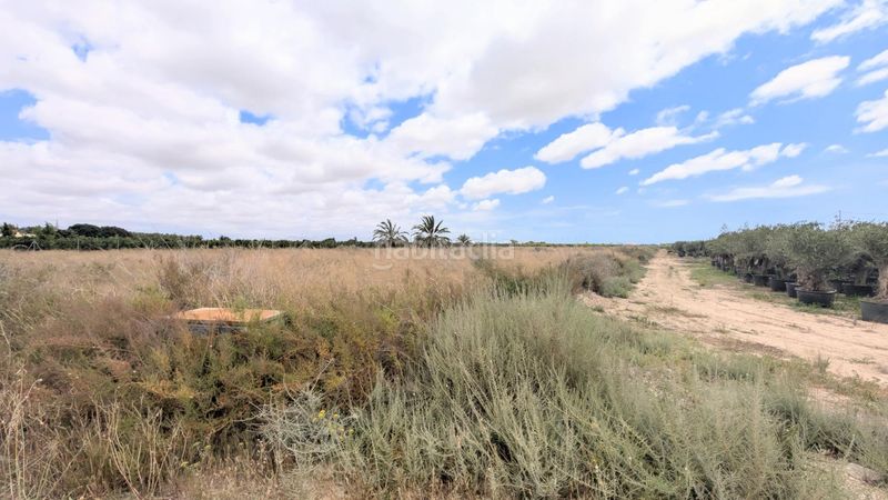 Foto 43a55e5b-38ee-46e3-aa64-521ce31b6450. Finca rústica a Las Bayas Elche / Elx