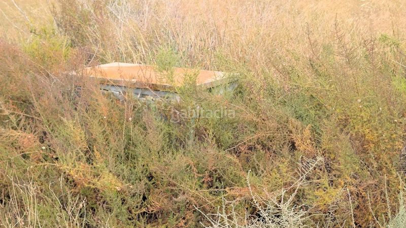 Foto 68b3f38d-9664-4e33-9856-01d6303027d0. Finca rústica a Las Bayas Elche / Elx