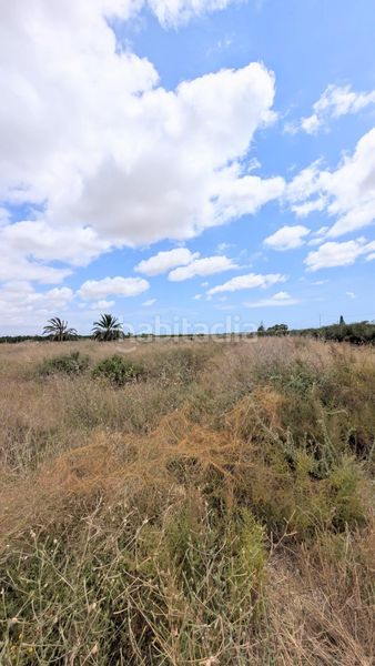 Foto c863c163-ae0f-4761-ad40-634530f3f2f2. Finca rústica a Las Bayas Elche / Elx