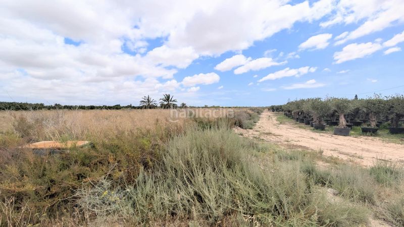Foto f3069063-d422-486e-b438-f5483d9d9745. Finca rústica a Las Bayas Elche / Elx